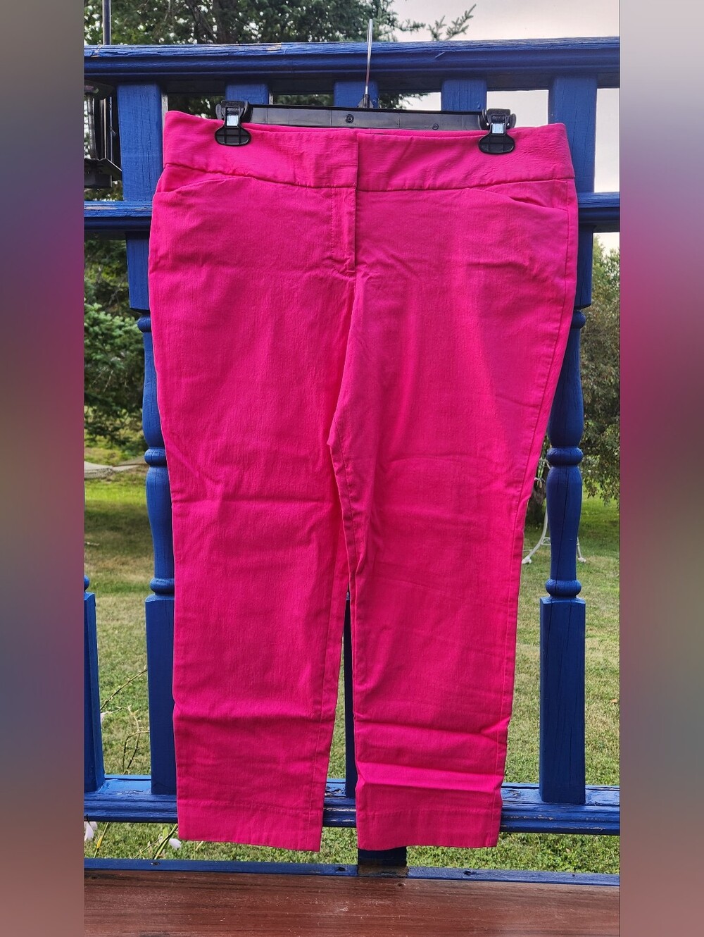 The Limited Womens Hot Pink Pants Size 16